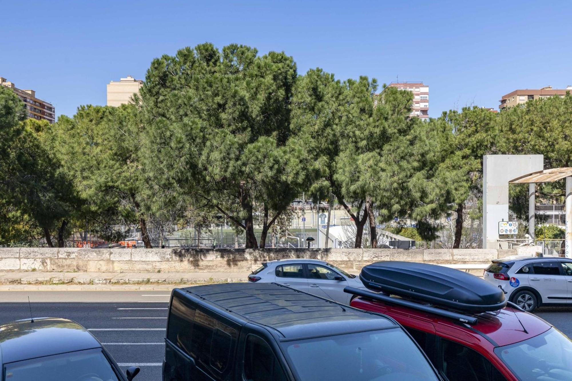 Apartup Turia River Park Valencia Eksteriør billede